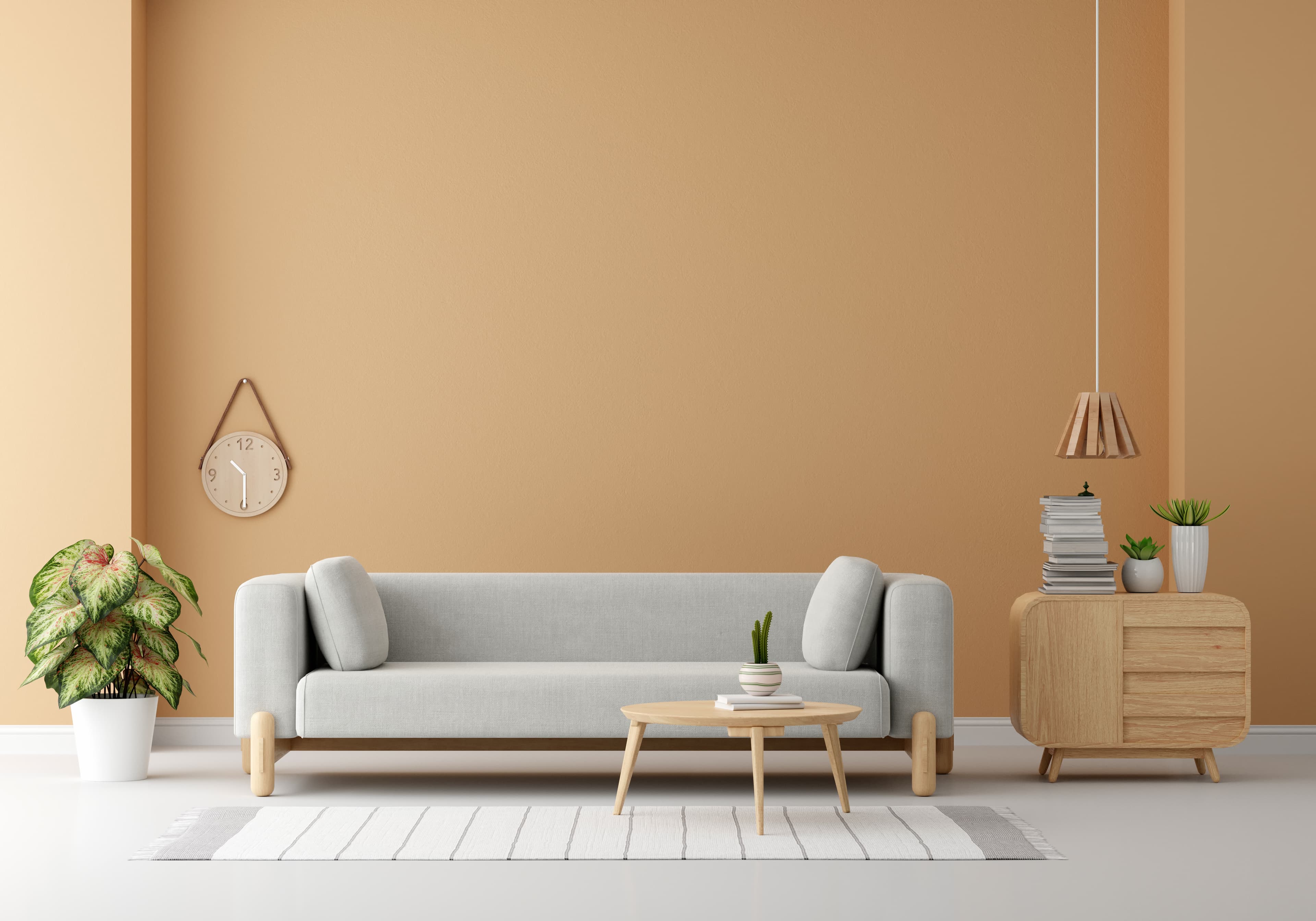Contemporary Living Space